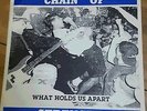 CHAIN OF STRENGTH WHAT HOLDS US APART EP SXE JUDGE GORILLA BISCUITS UNDERDOG