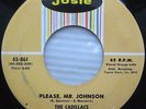 THE CADILLACS please Mr Johnson / Cool it Fool Doo Wop 45 N-Mint cond cc871