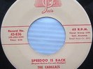 CADILLACS Jesse POWELL speedo is back / a looka here Doo Wop 45  VG++ cond cc869
