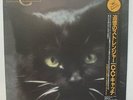C.C. CATCH - Modern Talking - LP - JAPAN - Catch The Catch - VIL-28059