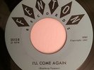 1967 MICHIGAN GARAGE - LEGENDS - I'll COME AGAIN / I'M JUST A GUY - FENTON 2512