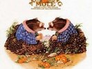 MATCHING MOLE S/t LP 8 Track Heavy Vinyl Reissue With Pic Inner  Released 13/10/