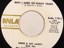 NORTHERN SOUL 45 – TERRIE & JOY LA ROY Why I Shed So Many Tears ANLA RECORDS ?