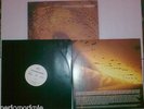 Catherine Wheel Ferment ORIGINAL LIMITED LP with 12 inch