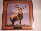 Killdozer ?– Twelve Point Buck US orig' SEALED Touch & Go LP 1989