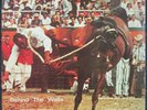 V/A - BEHIND THE WALLS | Rare PRIVATE Huntsville Texas outlaw country rodeo LP