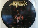 Anthrax - Among the Living PICTUREDISC Vinyl LP Remastered 2013 Slayer Metallica