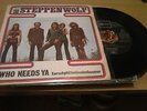 STEPPENWOLF 7