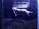 BILL EVANS+JIM HALL UNDERCURRENT SEALED NUMBERED LTD EDITION MFSL AUDIOPHILE LP