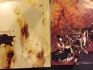 Nine Inch Nails - The Downward Spiral (Vinyl 2 LP 1994 Nothing ILPSD 8012)