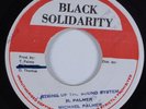 Reggae 45 MICHAEL PALMER String Up the Sound System BLACK SOLIDARITY HEAR