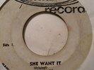 GAYLADS - she want it b/w joy in the morning - WIRL