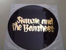 Siouxsie And The Banshees - Love In A Void / London 1977  (7'' Pic Vinyl)