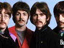 ULTIMATE BEATLES ALBUM LIBRARY  - 200+ VINYL DISCS - Rare, Foreign, Bootlegs
