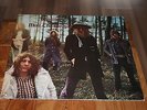 MOTT THE HOOPLE : WILDLIFE LP 1971 PINK ISLAND 6339031