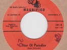 WHITE DOO WOP THE ITELS – STAR OF PARADISE on MAGNIFICO HEAR