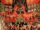 PANTERA Projects In The Jungle MINT RARE LP GREEN Vinyl + FAN CLUB SHEET R-511