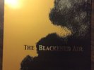 Nina Nastasia - The Blackened Air vinyl LP EX Touch and Go 2002 indie folk