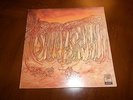 SAVOY BROWN BLUE MATTER VINYL LP US PARROT WOW EXCELLENT
