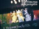 Princess Pangolin - Message From The Sea (Limited Edition Pop Up) [Vinyl New]