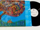 BIG COUNTRY-No place like bone(LP)1991 VERTIGO HOLLAND+INSERT EX/NM