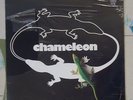 Chameleon S/T Debut LP SEALED 1981 Minnesota Rock Yanni Mint-
