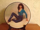 kate bush the kick inside picture disc