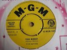Great Doo-Wop  Five Satins 