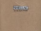 Shellac - At Action Park LP Vinyl NEW