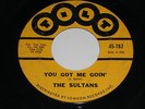 THE SULTANS Doo wop It'll Be Easy 45 You Got Me Goin' Tilt 782 7