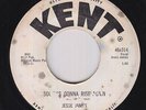R&B Rockabilly 45 - Jesse James - South's Gonna Rise Again - Kent - mp3