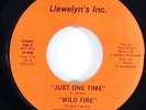 Wild Fire 