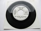 13TH FLOOR ELEVATORS YOU'RE GONNA MISS ME / TRIED TO HIDE I.A PROMO