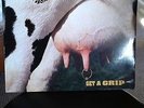 AEROSMITH GET A GRIP, 2 X 12
