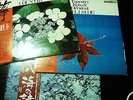 japanese koto and shakuhachi jazz funk