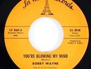 Bobby Wayne 