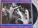 LP Youth Of Today Break Down The Walls ORIGINAL, RED ON BLUE COVER Wishingwe