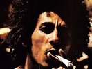 Bob & The Wailers Marley - Catch A Fire [Vinyl New]