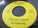 THE OTHER KIND RARE MICHIGAN GARAGE PSYCH 45 MICKAYS RECORDS LBL NO TIME TO LEND