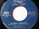 Arguesco's Roseland Dance Mambo Habanero SMC Pro-Arte 1335 Latin 1950's 45
