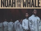 Noah & The Whale - Heart Of Nowhere (2013, Vinyl NEW)