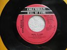 BRUCE SPRINGSTEEN - BORN TO RUN / SPIRIT..- CANADA  HALL OF FAME SINGLE 7