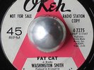COOL R&B DANCER WASHINGTON SMITH Fat cat OKEH DEMO LISTEN
