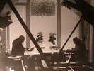 PALESTINE, Charlemagne/RHYS CHATHAM - Youuu & Mee Equals Weee (First) - LP
