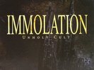 IMMOLATION-UNHOLY CULT -PD/LTD--VINYL LP LIST NEW