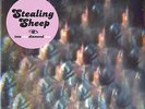 Stealing Sheep Into The Diamond Sun + Badges vinyl LP album record UK