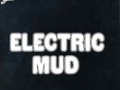 MUDDY WATERS • ELECTRIC MUD • 1968 LP CADET CONCEPT LPS 314  w/INSERT   GATEFOLD