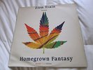 ZION TRAIN - HOMEGROWN FANTASY 1995 SPECIAL VINYL EDITION & W/L 12