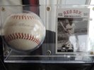 TED WILLIAMS  SIGNED BASEBALL BALL + DISPLAY  PSA/DNA