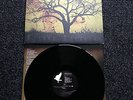 Dozer – Beyond Colossal LP Ltd. Vinyl of 500 on Vinyl Maniacs, Greenleaf etc.